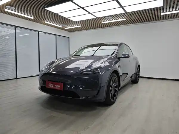 Tesla Model Y 2021