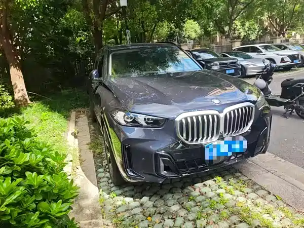 BMW X5 2025