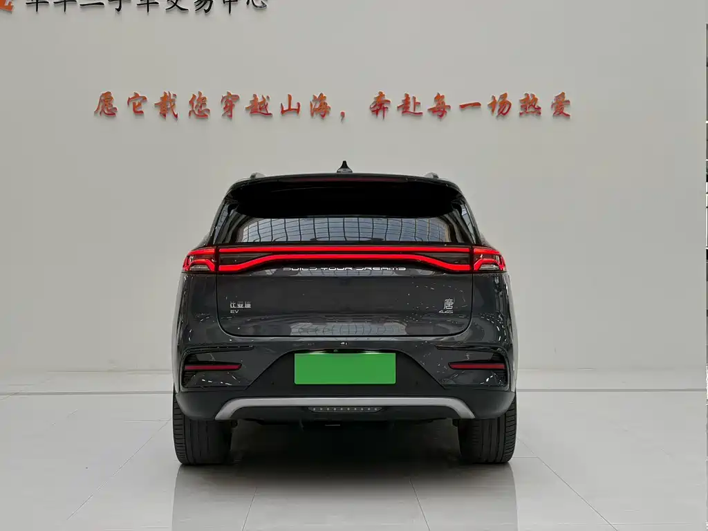 BYD Tang New Energy 2022 — фото 8