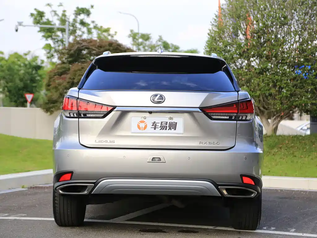 Lexus RX 2019 — фото 22