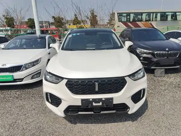 Wey VV5 2019