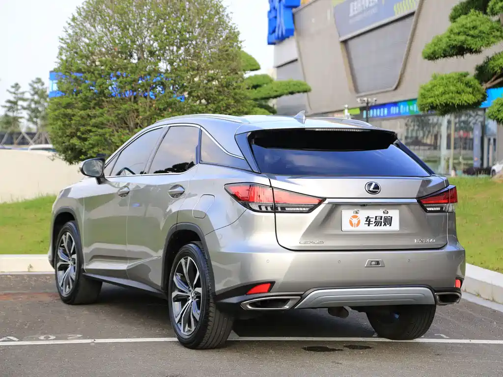 Lexus RX 2019 — фото 20