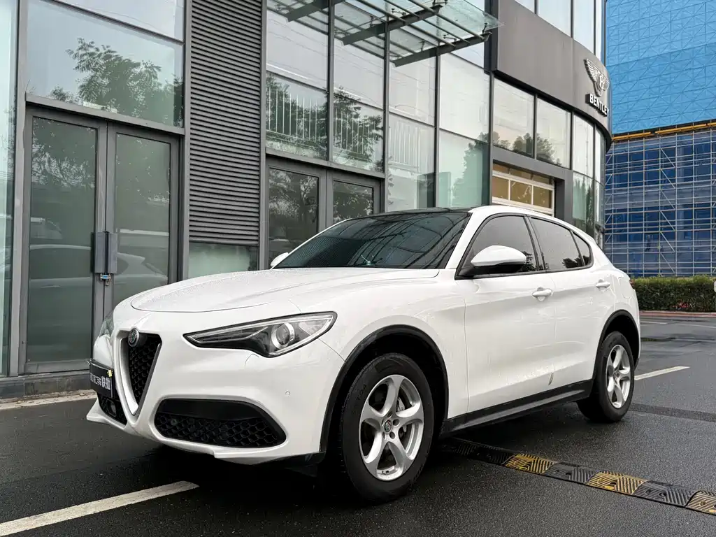 Alfa Romeo Stelvio 2019 — фото 1