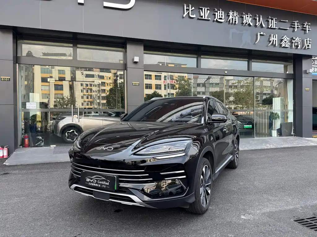 BYD Song PLUS New Energy 2025 — фото 1