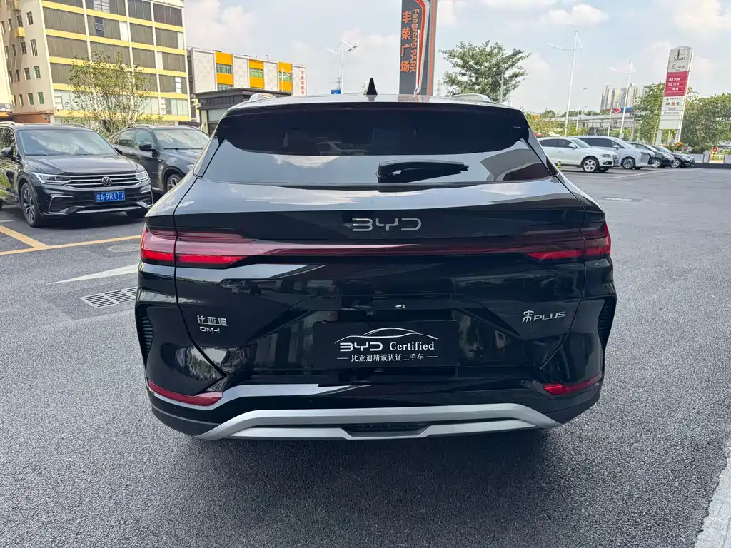 BYD Song PLUS New Energy 2025 — фото 14