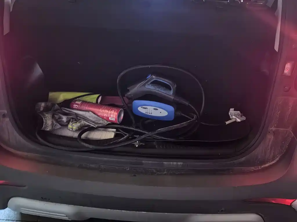 Chery eQ1 2019
