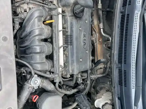 Kia K2 2012