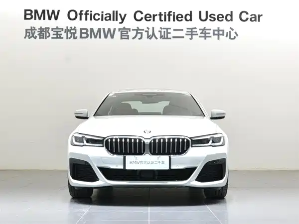 BMW 5 Series 2022