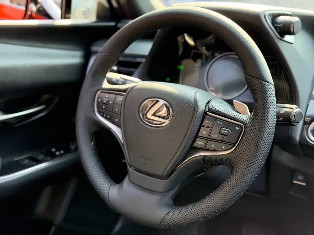 Lexus UX New Energy 2020 — фото 9