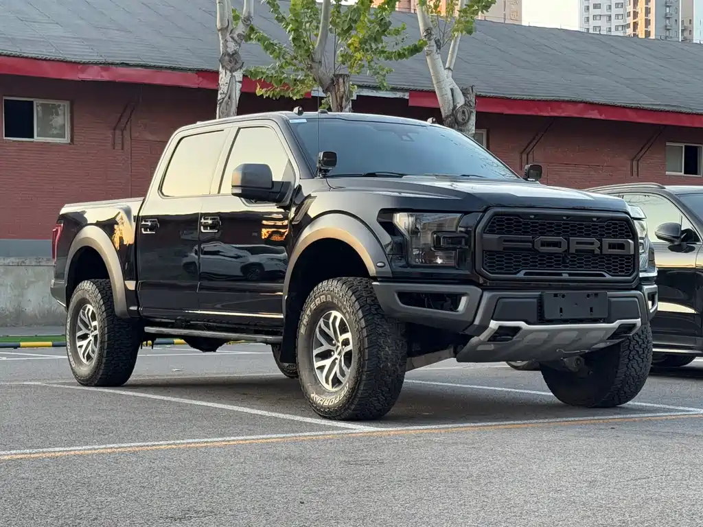 Ford F-150 Raptor 2017 — фото 3