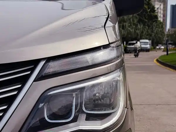 Dongfeng Lingzhi 2021