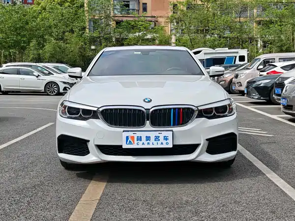 BMW 5 Series 2019