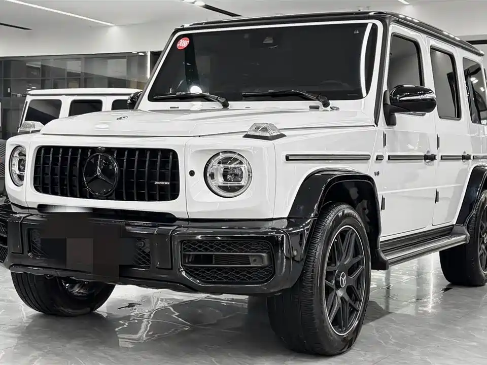 Mercedes-Benz G-Class 2019 — фото 1