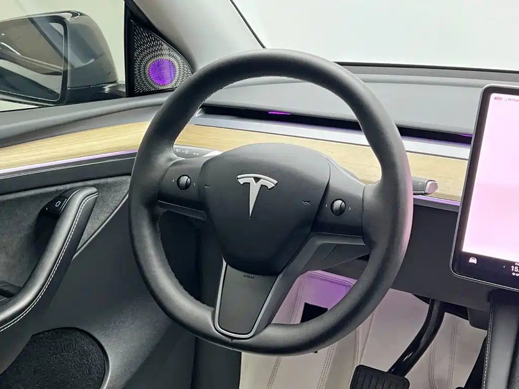 Tesla Model Y 2023 — фото 20
