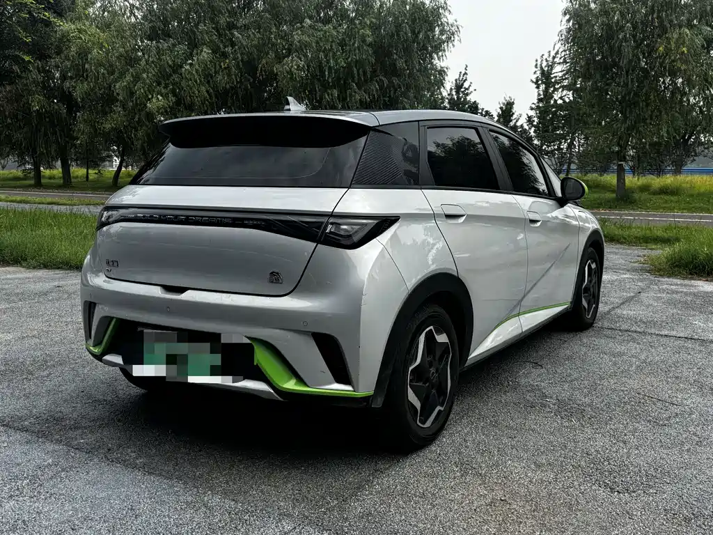 BYD Dolphin 2021