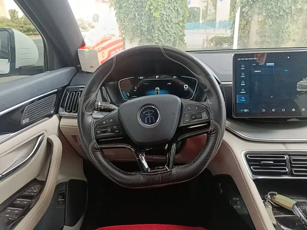 BYD PLUS New Energy 2022 — фото 11