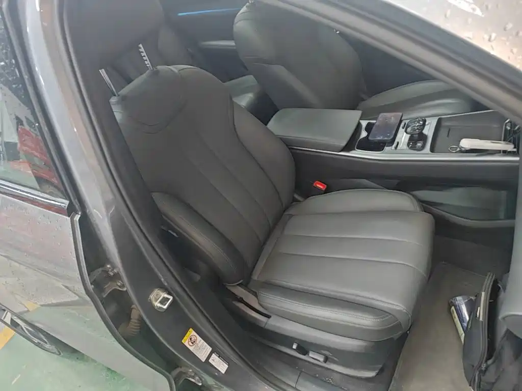 BYD Song Pro New Energy 2025 — фото 25