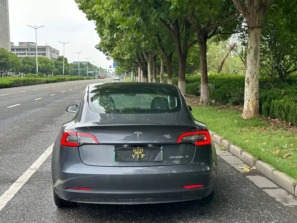 Tesla Model 3 2020 — фото 10