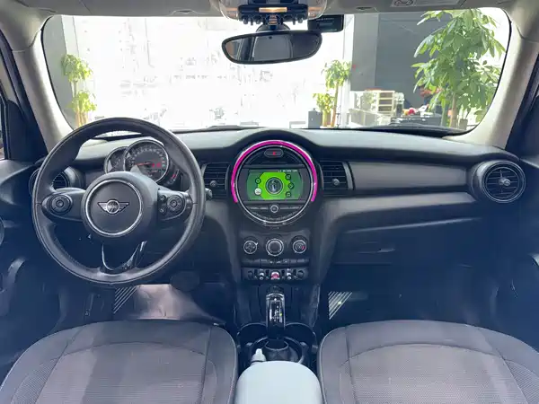 MINI 2018