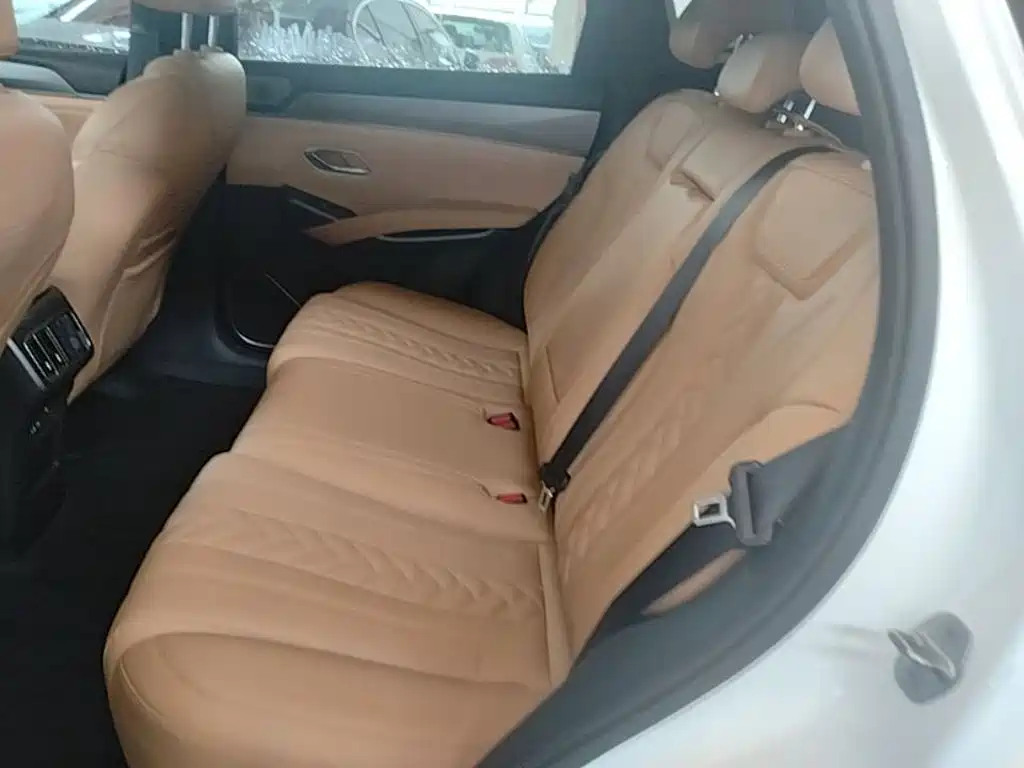 BYD Song L DM-i 2024 — фото 17