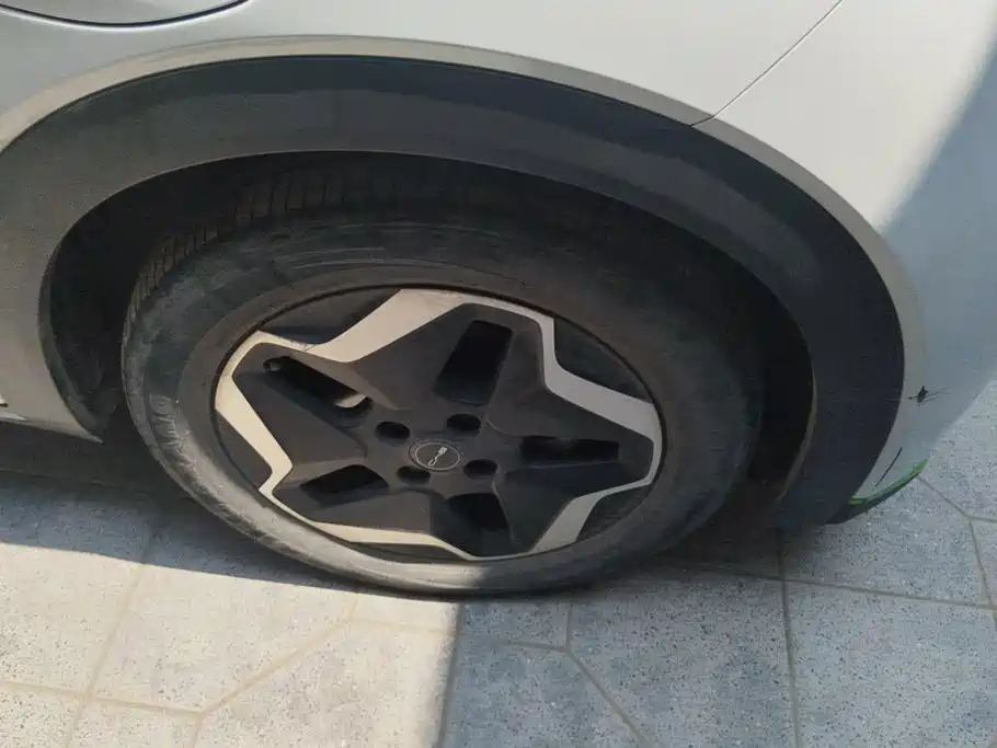 BYD Dolphin 2022