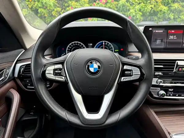 BMW 5 Series New Energy 2019