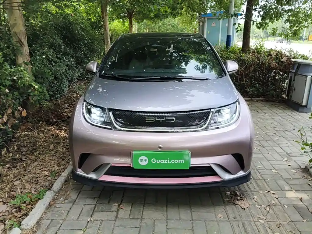 BYD Dolphin 2022