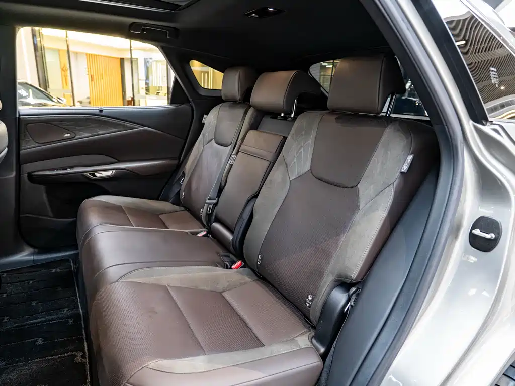 Lexus RX New Energy 2023 — фото 12