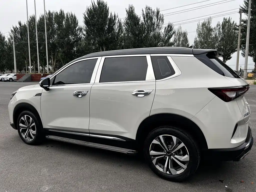 Wuling Star 2021 — фото 8