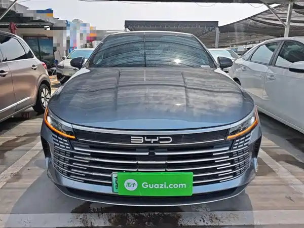 BYD Destroyer 05 2024