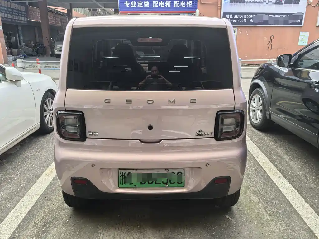Geely Galaxy Panda 2023
