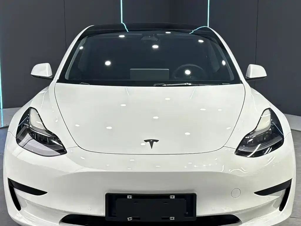 Tesla Model 3 2021 — фото 2