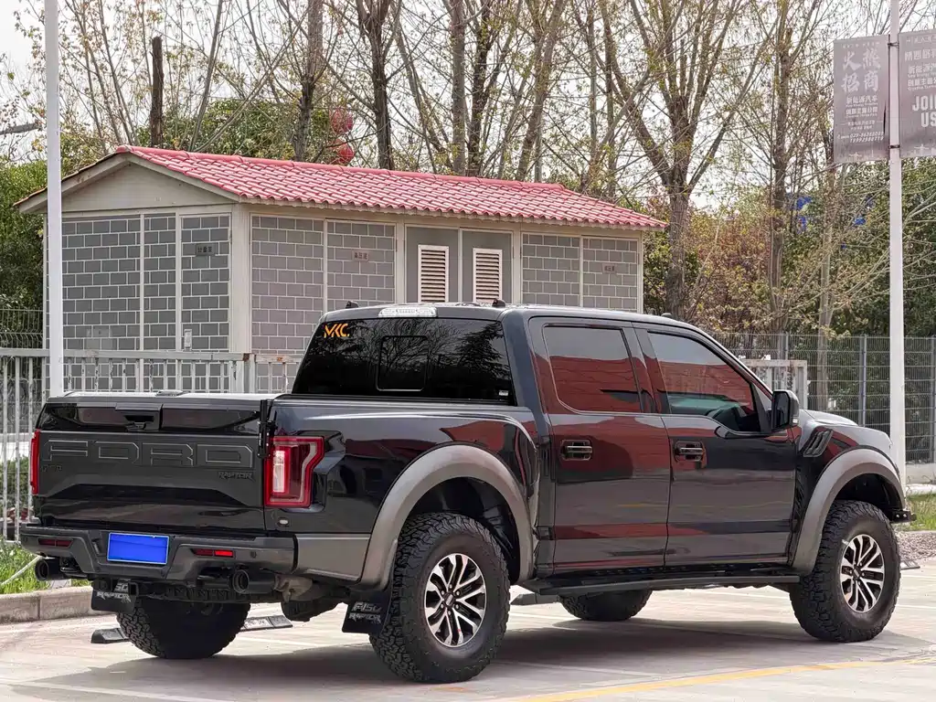 Ford F-150 Raptor 2020 — фото 14