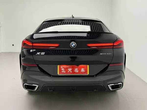 BMW X6 2021