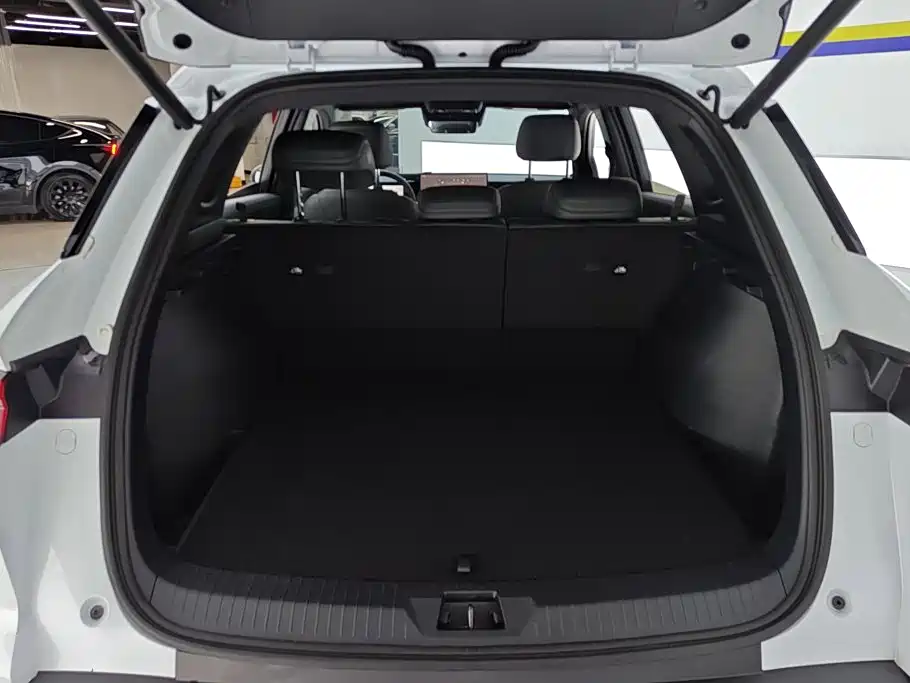 BYD Song Pro New Energy 2026 — фото 4