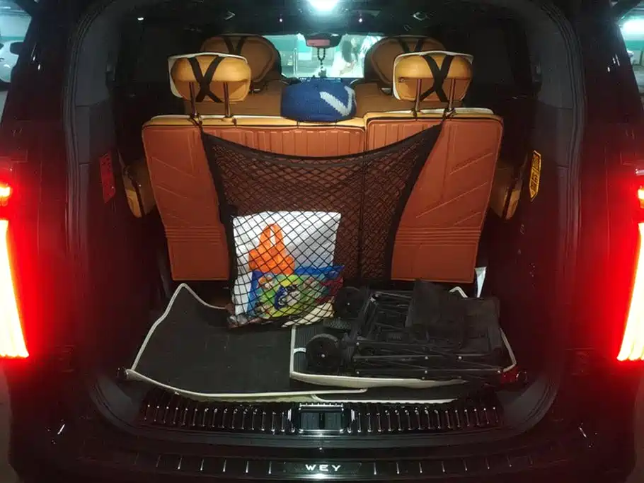 Wey Gaoshan 2025
