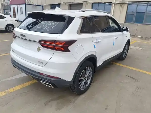 SWM G01 2018