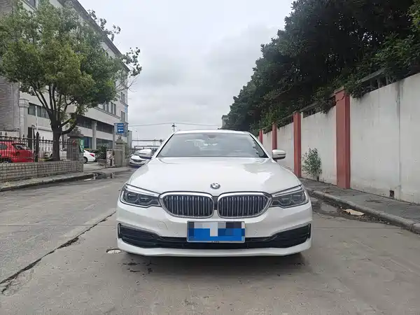 BMW 5 Series 2019