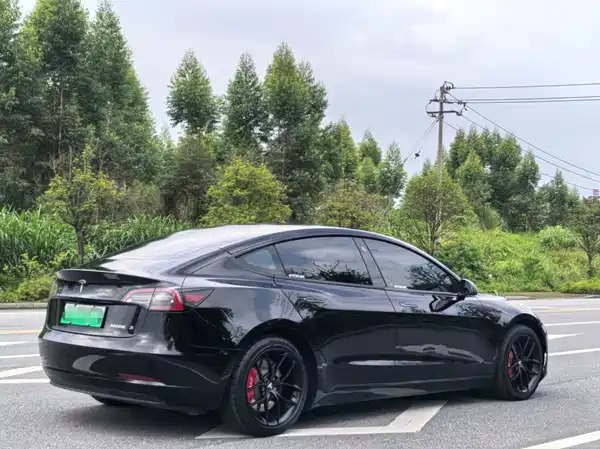 Tesla Model 3 2021
