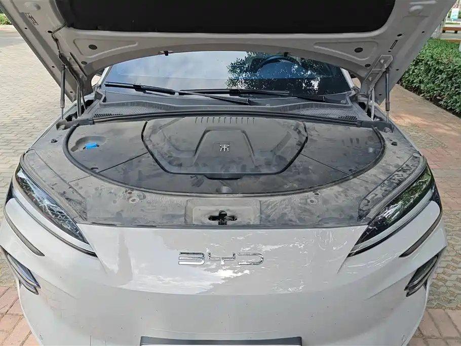 BYD PLUS New Energy 2024 — фото 10