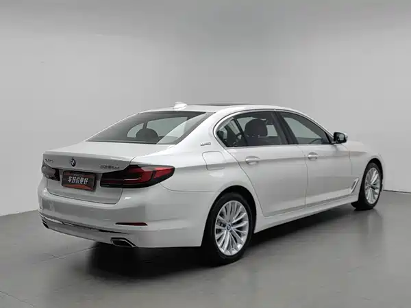 BMW 5 Series New Energy 2019