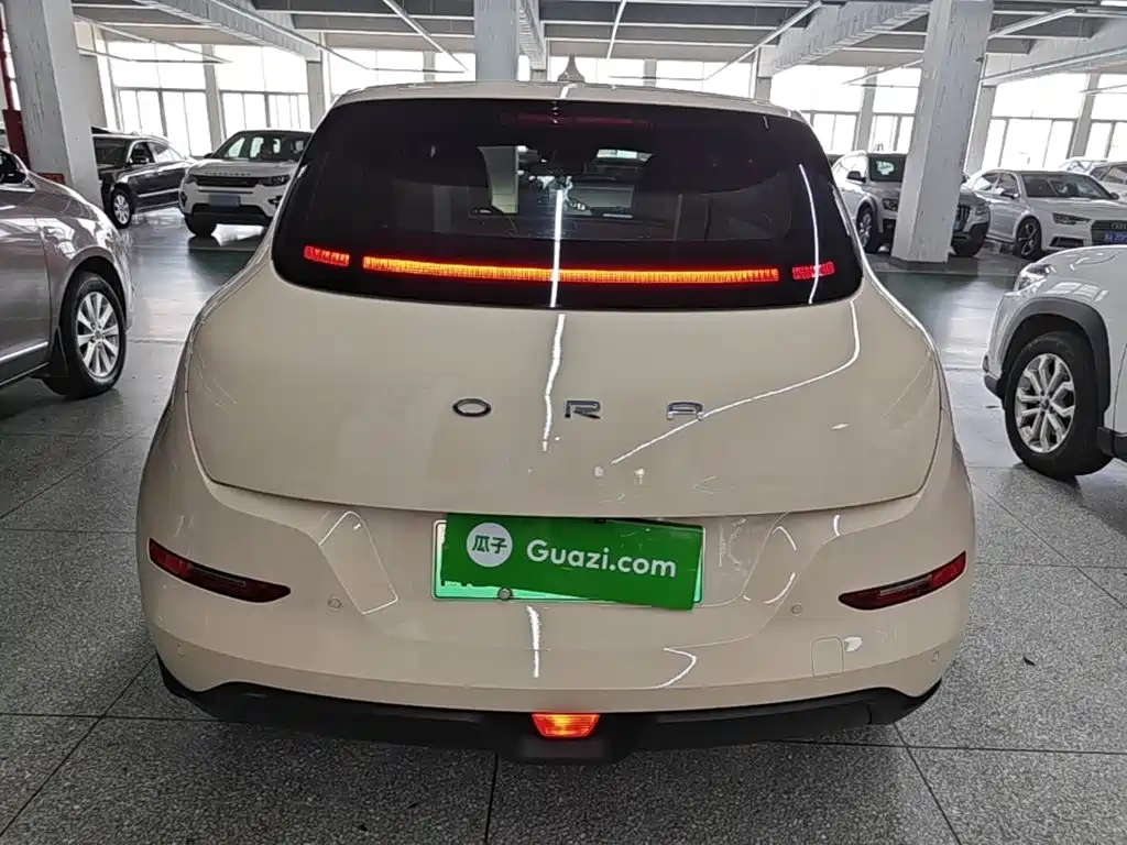 Ora Good Cat 2022