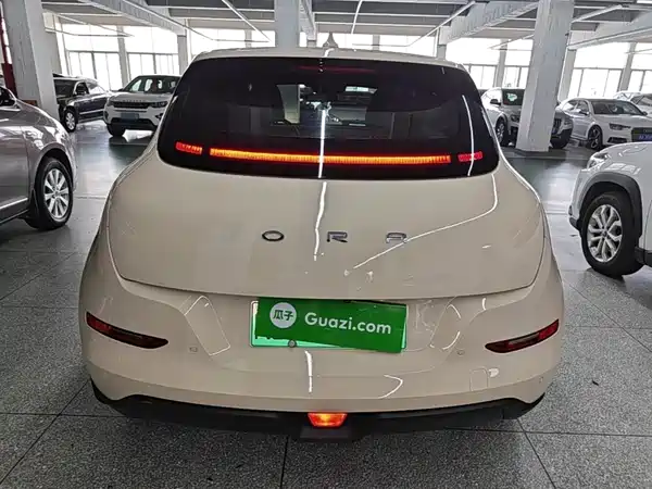 Ora Good Cat 2022