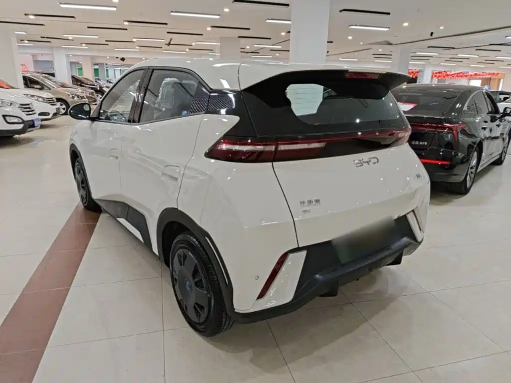 BYD Seagull 2024