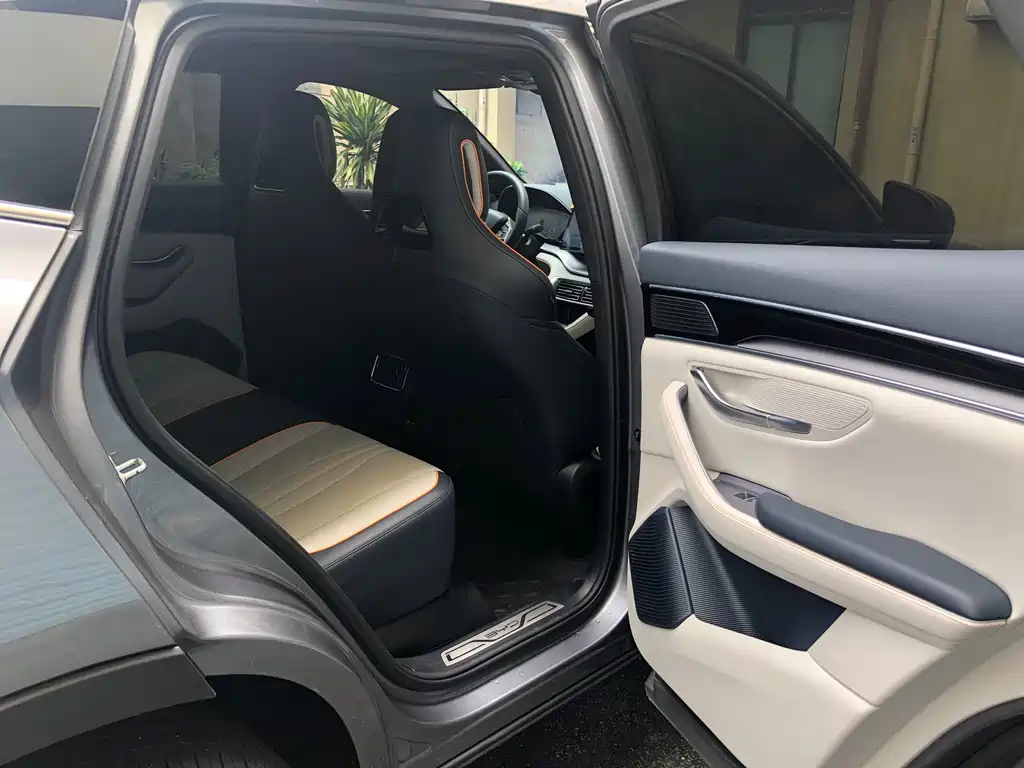 BYD PLUS New Energy 2023 — фото 10