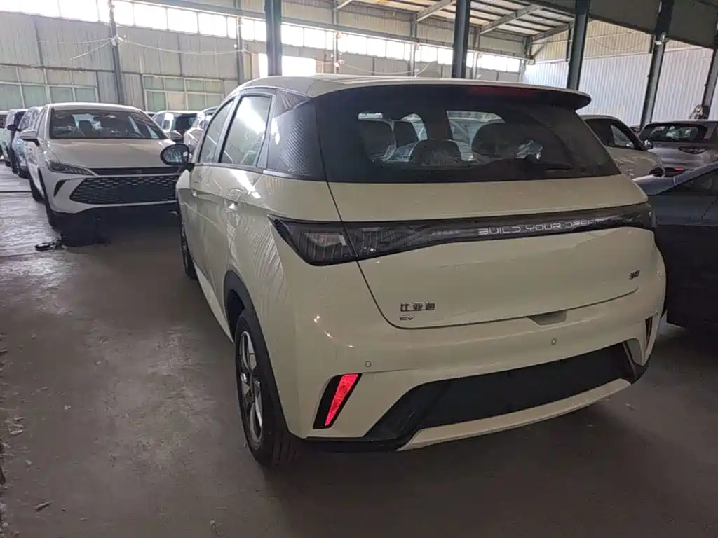 BYD Dolphin 2026