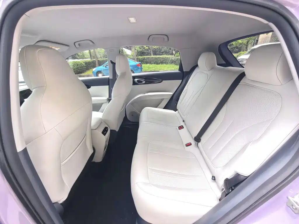 Geely Galaxy Starwish 2025 — фото 8