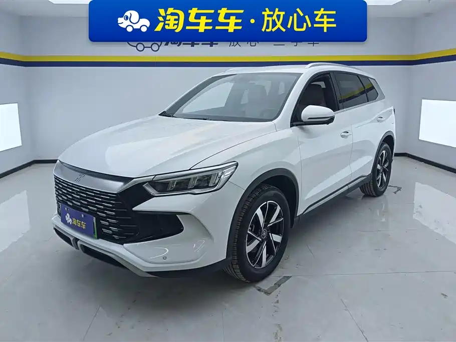 BYD Pro New Energy 2024