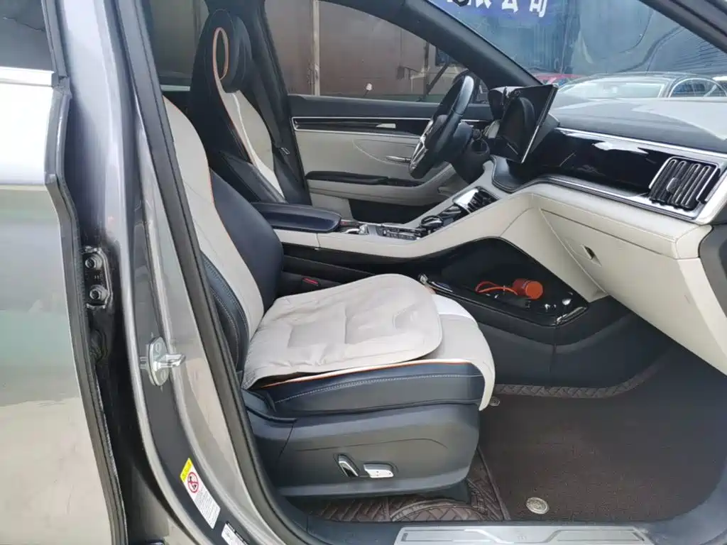 BYD PLUS New Energy 2023 — фото 25