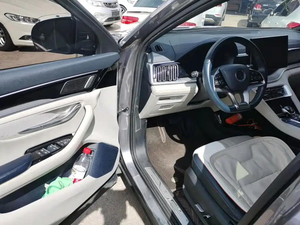 BYD PLUS New Energy 2023 — фото 16